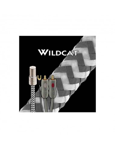 Кабель тонарма AudioQuest Wildcat