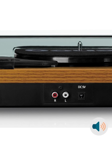 Проигрыватель виниловых пластинок с встроенной акустикой Lenco LS-10 Буковое дерево сзади