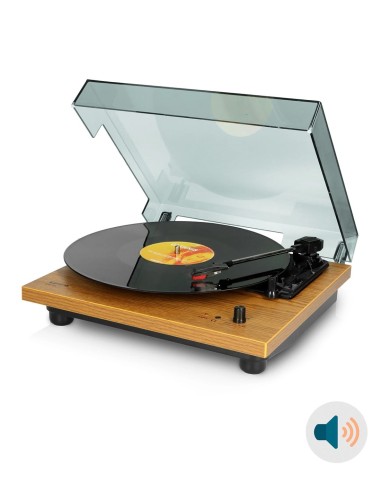 Проигрыватель виниловых пластинок с встроенной акустикой Lenco LS-10 Буковое дерево