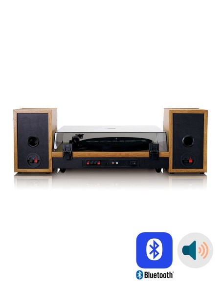 Проигрыватель виниловых пластинок с внешней акустикой Lenco LS-300 Буковое дерево сзади