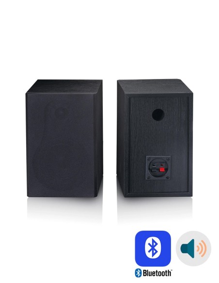 Акустика для проигрывателя виниловых дисков Lenco LS-500 Черное дерево