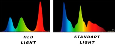Воспроизведение гиперспектральных высот Boxlight