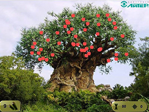 Игра Яблоки Игра Яблоки