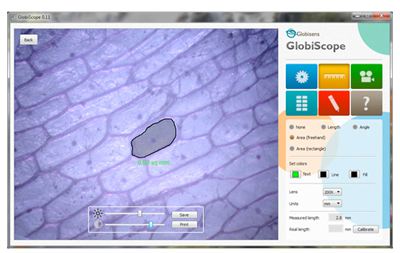 Кожица лука при 200X в ПО GlobiScope