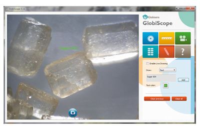 Кристаллы сахара при 200X в ПО GlobiScope