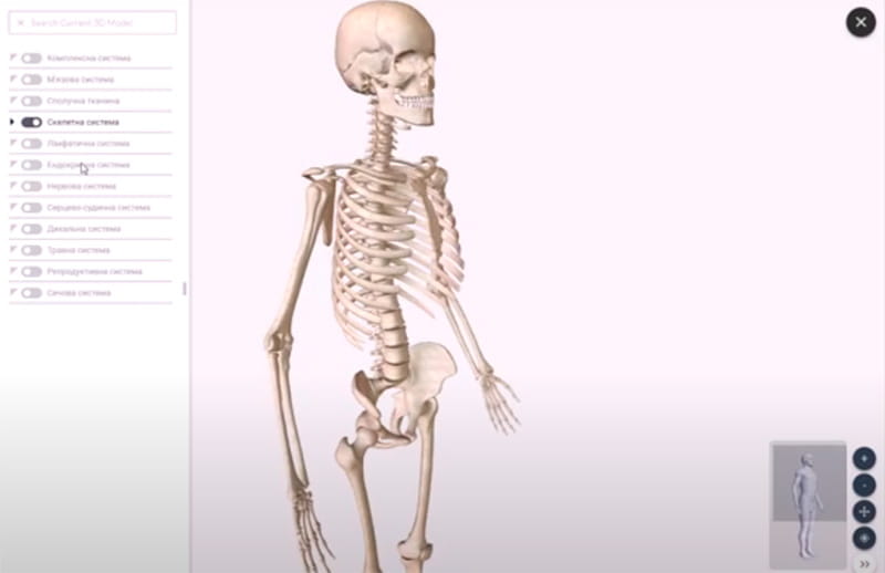 3D-программа BioDigital Human для интерактивной доски Intboard™ UT-TBI92Х