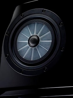 Динамик Flat Spider Cone в колонке Vienna Acoustics Динамик Flat Spider Cone в колонке Vienna Acoustics
