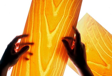 Шпон для отделки акустики Vienna Acoustics