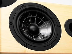 Динамик Spider Cone в колонке Vienna Acoustics Динамик Spider Cone в колонке Vienna Acoustics