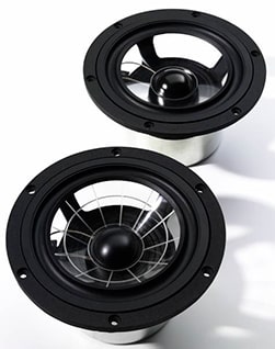 Динамик Spider Cone Vienna Acoustics