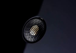 ВЧ-головка в колонке Vienna Acoustics ВЧ-головка в колонке Vienna Acoustics